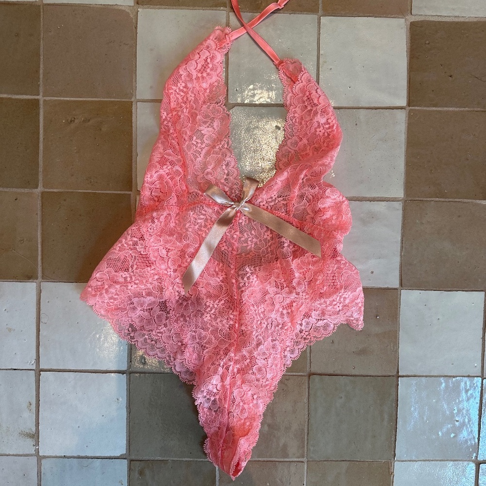 Victoria’s Secret Pink Teddy Bodysuit